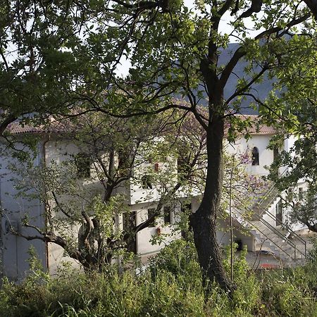 Kavoulakos Studios Skoutárion Zewnętrze zdjęcie