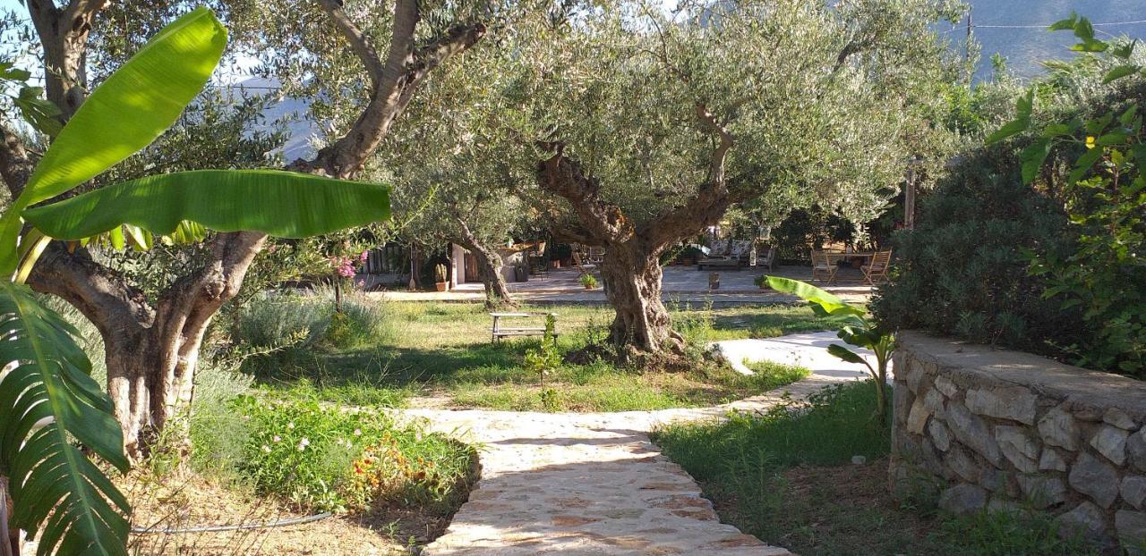 Kavoulakos Studios Skoutárion Zewnętrze zdjęcie